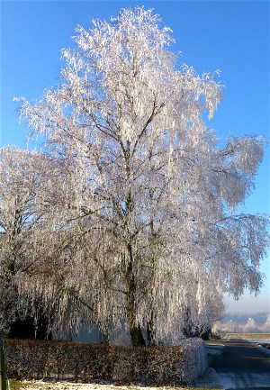 Im Einklang mit der Natur